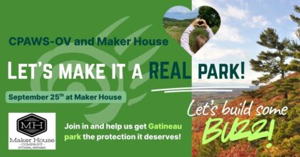 Let’s make it a REAL park!